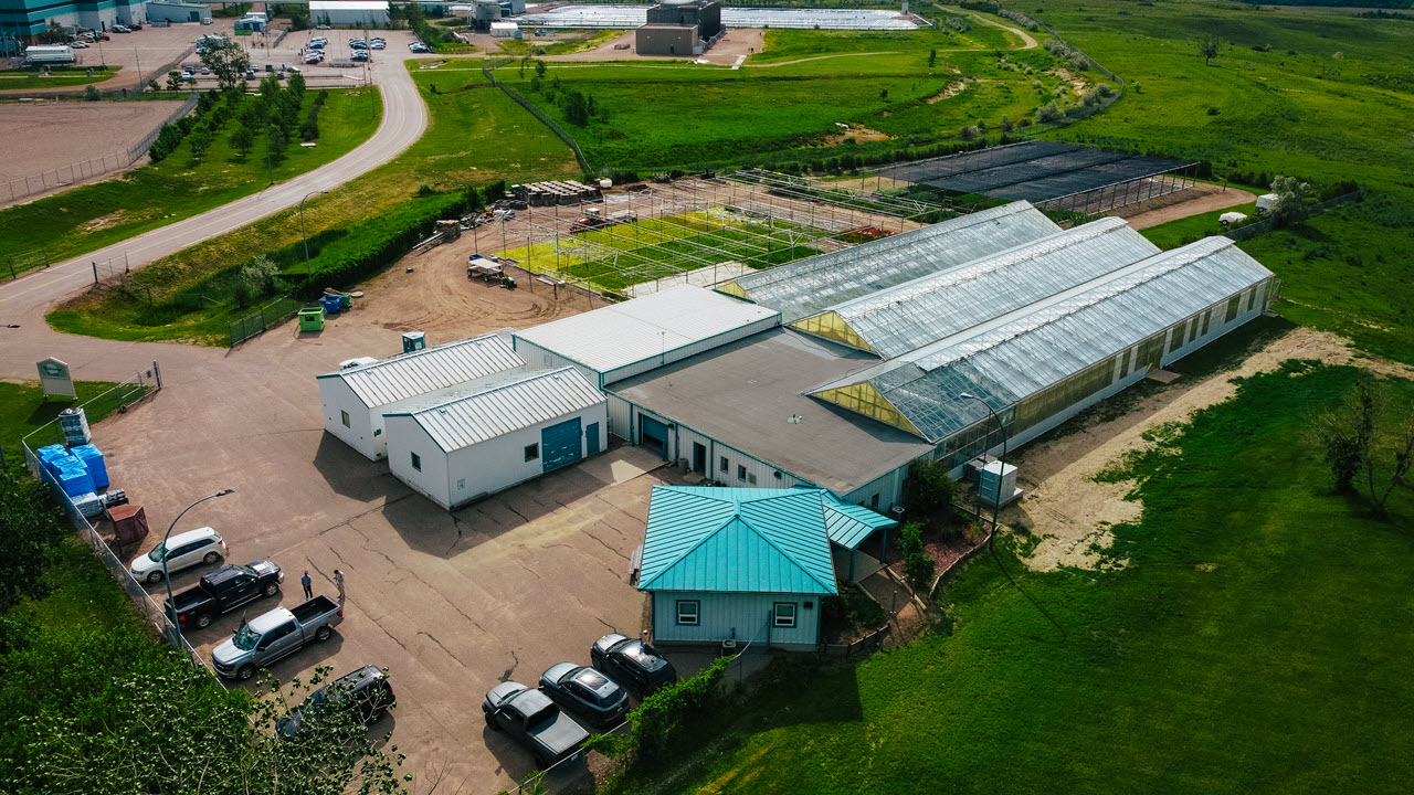 Shand Greenhouse