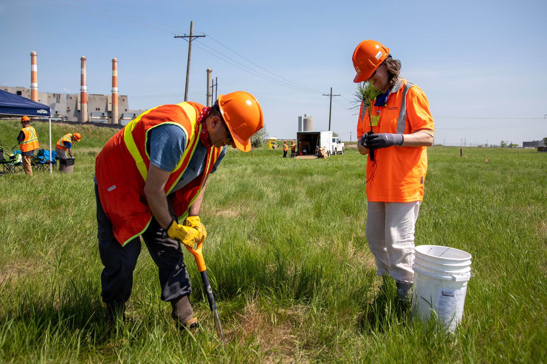Shand Greenhouse Tree Planting