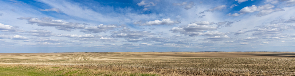 Help Plan Our Power Future - Considerations