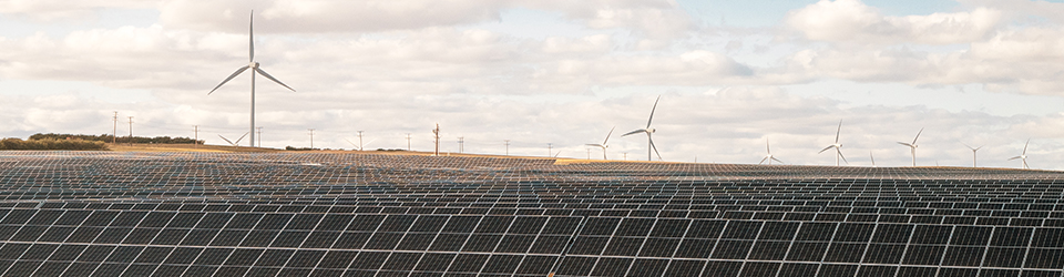Rows of solar panels with wind turbines in the background.