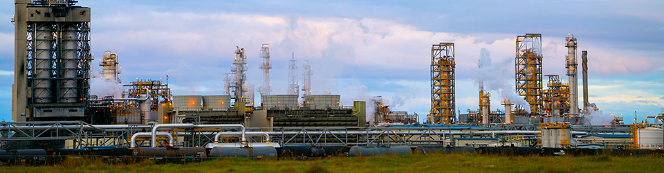  	Meridian Cogeneration Station