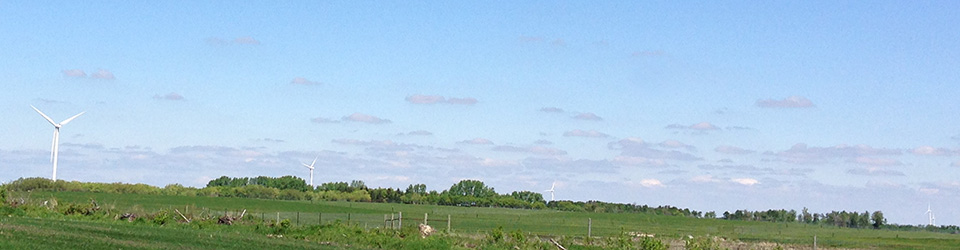 Red Lily Wind Power Facility