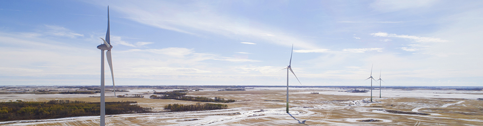 Western Lily Wind Power Facility