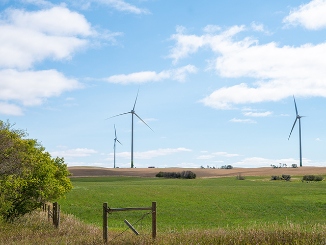 Three white wind turbines in the distance, with green grass and a green bush. 