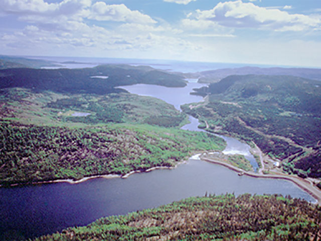 River and tree landscape